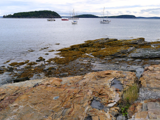 Looking N toward the bay