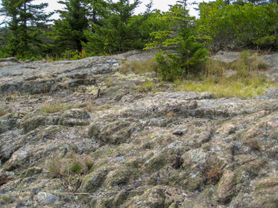 Bolts at the site