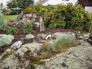 Eyelevel view of the disk in the rock garden.