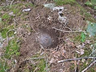 Eyelevel view of the disk on the boulder.