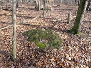 Eyelevel view of the bench mark disk set into the large outcrop.