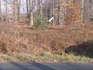 Looking NE toward the mark (indicated) from Hickory Ridge Road.