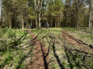 And here come the mountain bikers!