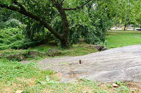 This is a peaceful spot among the trees.