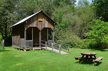 One of several exotic cabins at Salt Springs