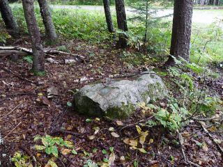 Eyelevel view of the disk set into the boulder.