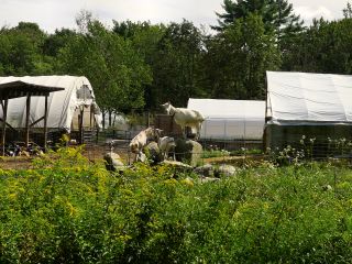 Sunset Acres Farm