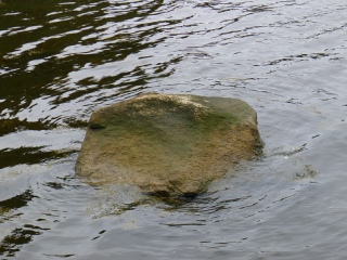 “Eyelevel” view of the boulder and possible disk.