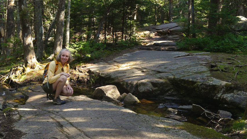 A stream crossing the Acadia Mountain Trail