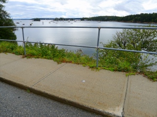 View SW toward Seal Harbor