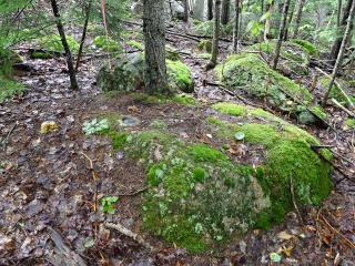 Eyelevel view of the disk set into the large boulder.