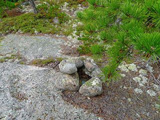 Eyelevel view of the disk in bedrock, surrounded by rocks