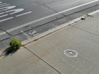 Eyelevel view of the disk set into the sidewalk.