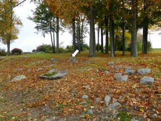 Looking up the bank at the outcrop from the level of the road.