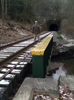 View W toward the E portal of the Vosburg Tunnel.