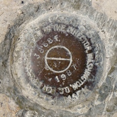 Florida Dept. of Natural Resources Tidal Bench Mark Disk 872 3868 F TIDAL