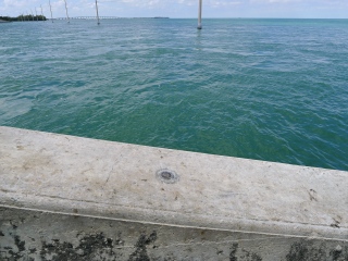 Eyelevel view of the disk on the bridge wingwall.