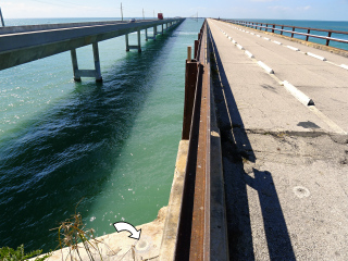 Looking W along Old Seven Mile Bridge.