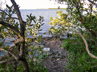 Looking N toward Florida Bay.