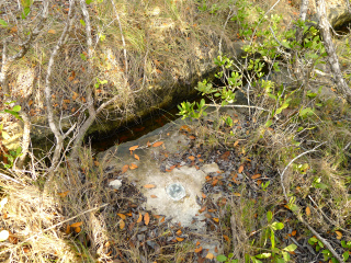 N 328 on the rock outcrop next to drainage ditch.