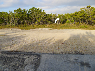 Looking W from Bryant Ave. toward N 328