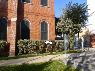 A view from the east lawn of the courthouse.