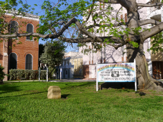 Looking NW toward a distinctive sign and beautiful kapok tree.