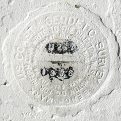 NGS Bench Mark Disk U 267