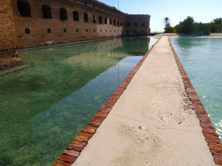 Looking SE along the moat wall.