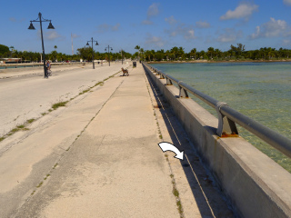 Looking NW toward White Street and Atlantic Blvd.