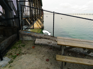 Unusual spot for a picnic table