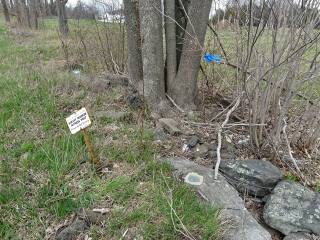 Eyelevel view of the disk set into the boulder.