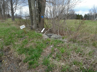 Proximity of the mark to the still-standing witness sign.