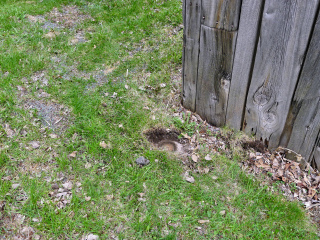 Eyelevel view of the reference mark near the corner of the barn.