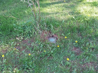 Eyelevel view of the disk in the concrete post