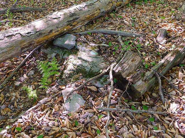 Eyelevel view of 36 JPN on the embedded boulder.