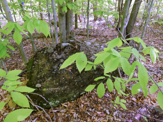 The reference mark disk on top of the large boulder.