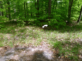 Looking NE toward the mark from Old Route 611.