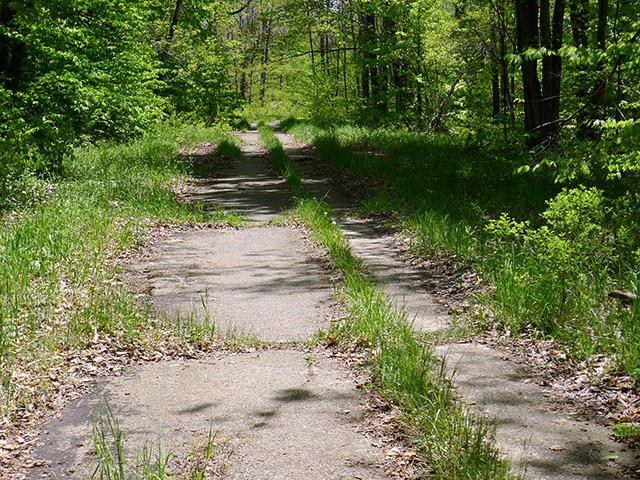 A view along Old Route 611 in the vicinity of WANNA.