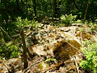 Eyelevel view of the bench mark disk on the large rock