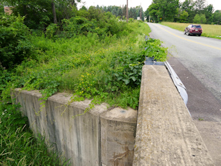 Looking W along St. Tikhon’s Road.