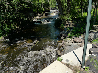 View of the disk and falls to the north.