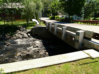 Looking E from across the creek.