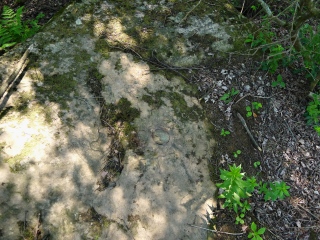 Eyelevel view of the disk on the outcrop.