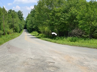 Looking NE along Tuthill Road from the intersection with Layton Road. Location of rock outcrop indicated.