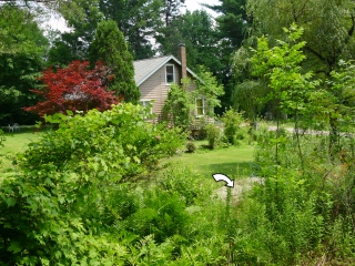 Looking N toward the boulder and house from the empty lot just to the south.