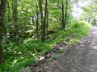 Looking NW along Flat Rock Road, with the rock outcrop to the left.