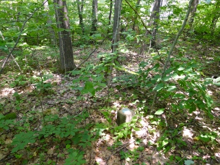 Eyelevel view of the disk on the concrete post.