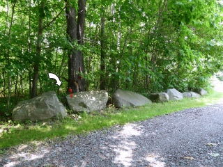 Looking N from the driveway toward the mark.