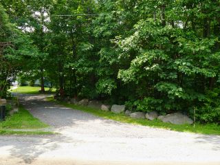 The driveway, and to the right the woods where the mark is located.